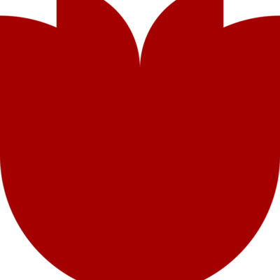 Flower 11 Thumbnail