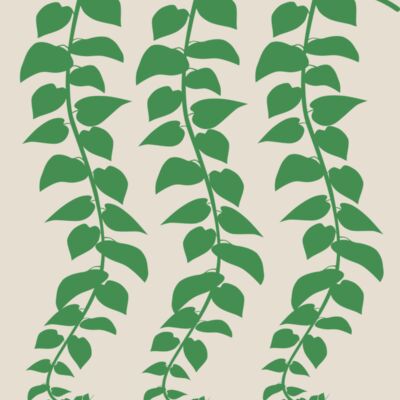 Hanging Plants Thumbnail