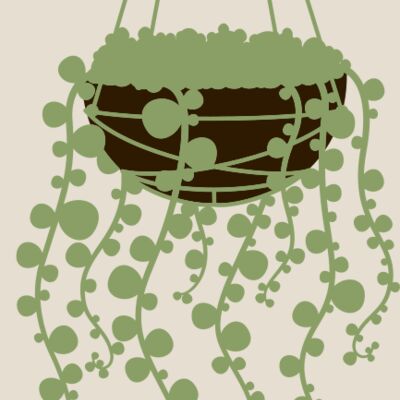 Hanging Plants 3 Thumbnail