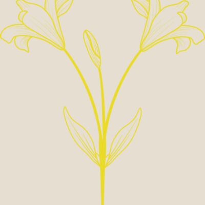Flowers 9 Thumbnail