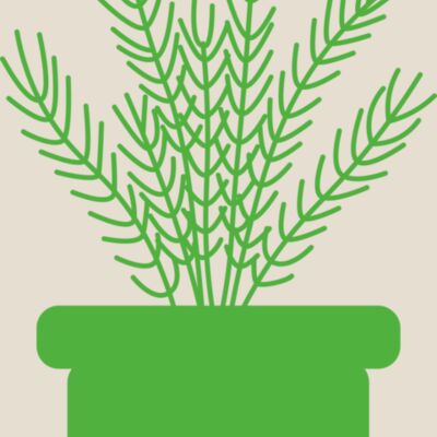 Herb Thumbnail