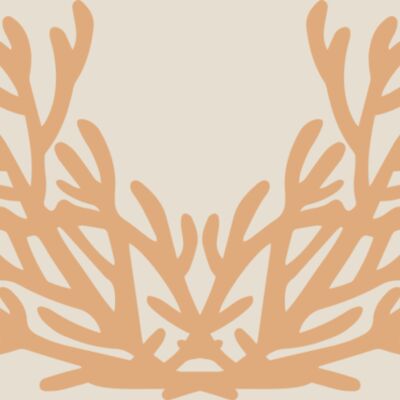 Sea Plants Thumbnail