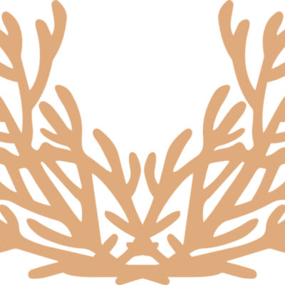 Sea Plants Thumbnail