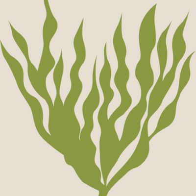 Sea Plants 5 Thumbnail