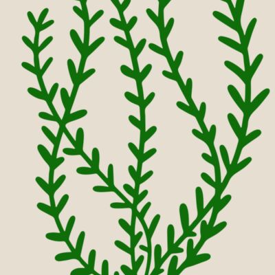Sea Plants 3 Thumbnail