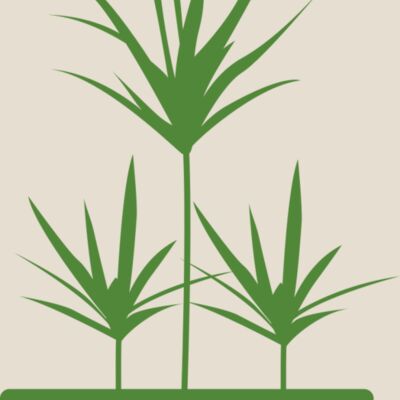 Plants 5 Thumbnail