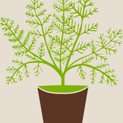 Plant Thumbnail