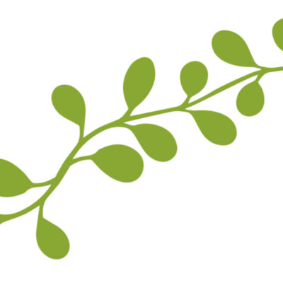 Leaves 13 Thumbnail