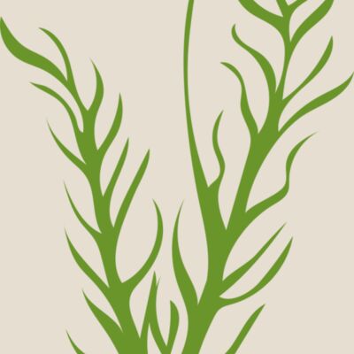 Leaves 8 Thumbnail