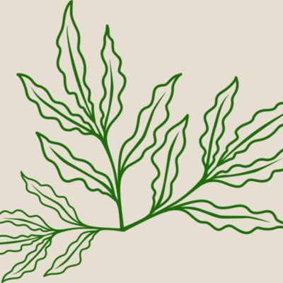 Leaves 7 Thumbnail