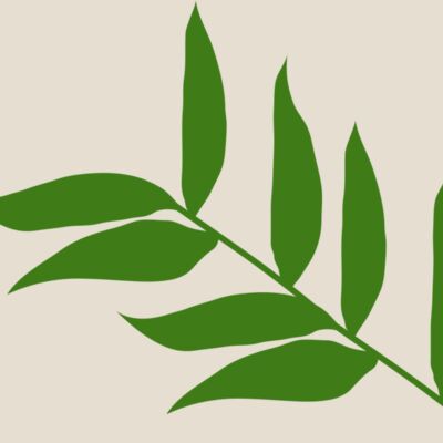 Leaves 5 Thumbnail