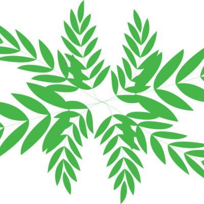 Leaves 3 Thumbnail