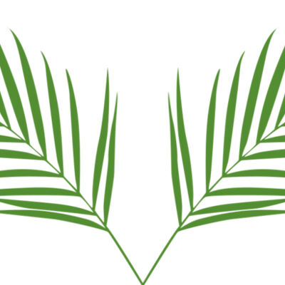 Leaves 2 Thumbnail