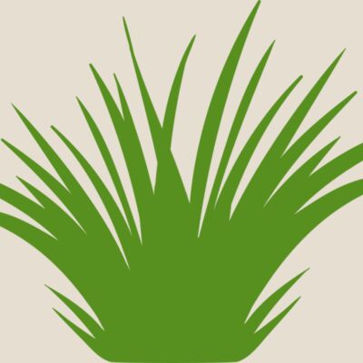 Grass 2 Thumbnail