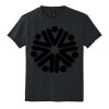Youth DryBlend ® 50 Cotton/50 Poly T Shirt Thumbnail