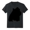 Youth DryBlend ® 50 Cotton/50 Poly T Shirt Thumbnail
