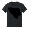 Youth DryBlend ® 50 Cotton/50 Poly T Shirt Thumbnail