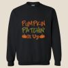 Unisex Heavy Blend™ Crewneck Sweatshirt Thumbnail